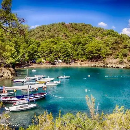 Forest Village 5* Ολουντενίζ