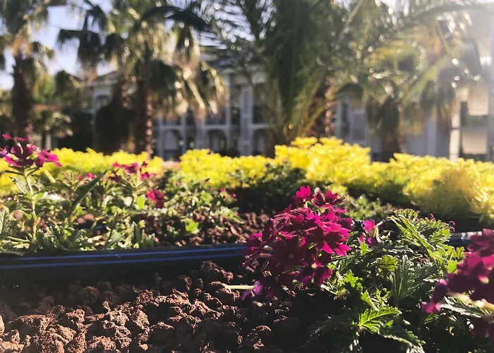 Hotel Forest Village