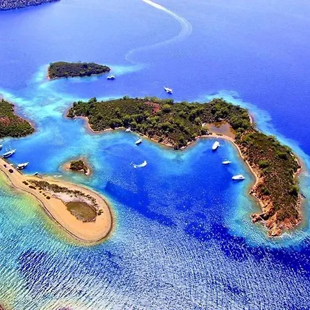 מלון Forest Village 5*