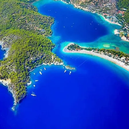 Hotel Forest Village 5*