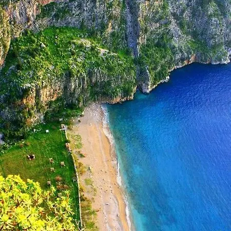 Hotel Forest Village