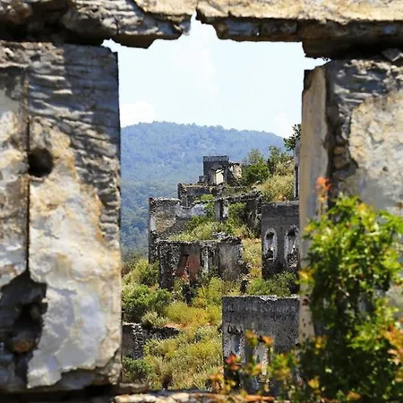 Hotel Forest Village