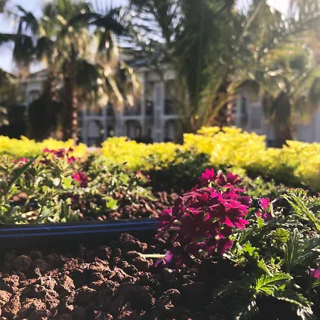 Hotel Forest Village