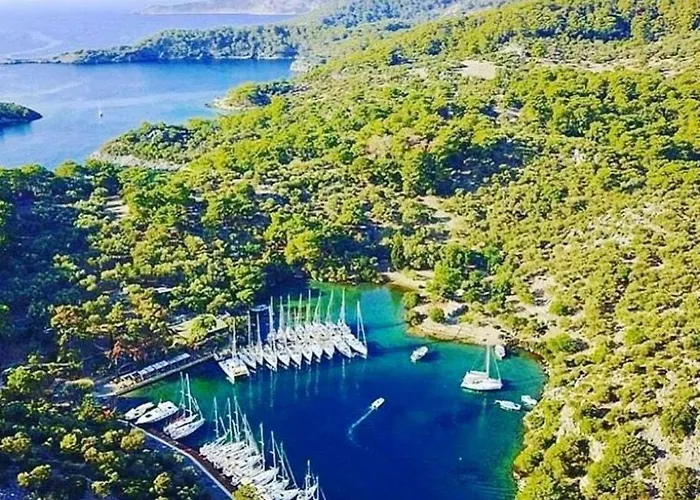 Hotel Forest Village