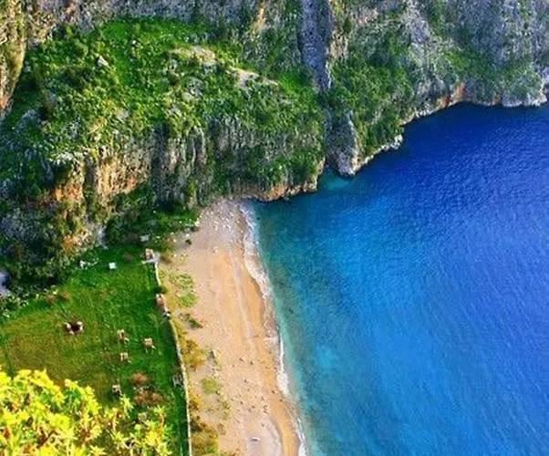 Hotel Forest Village