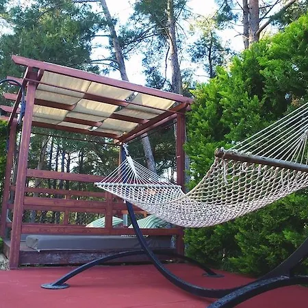 Hotel Forest Village