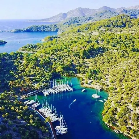 Hotel Forest Village