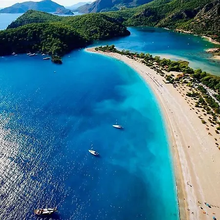 Forest Village Hotel