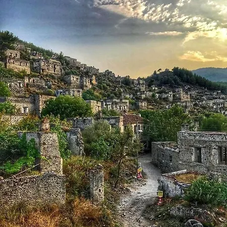 Forest Village