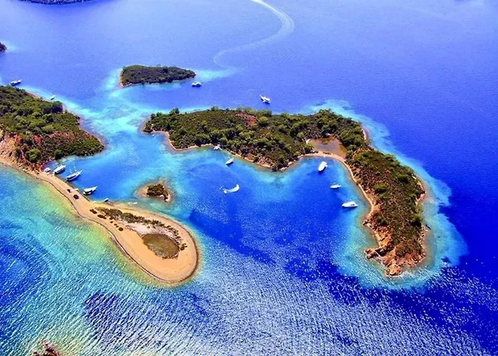 فندق Forest Village 5*