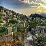 Forest Village