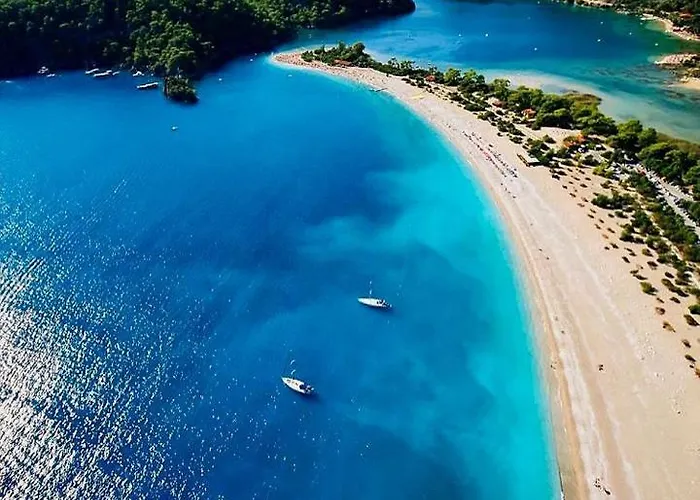 Forest Village Hotel